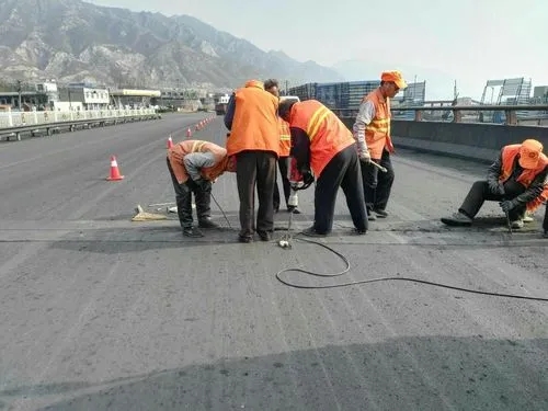 崇左道路桥梁病害治理